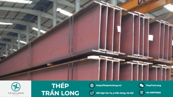 thep hinh H 900 x 300 x 16 x 28 2