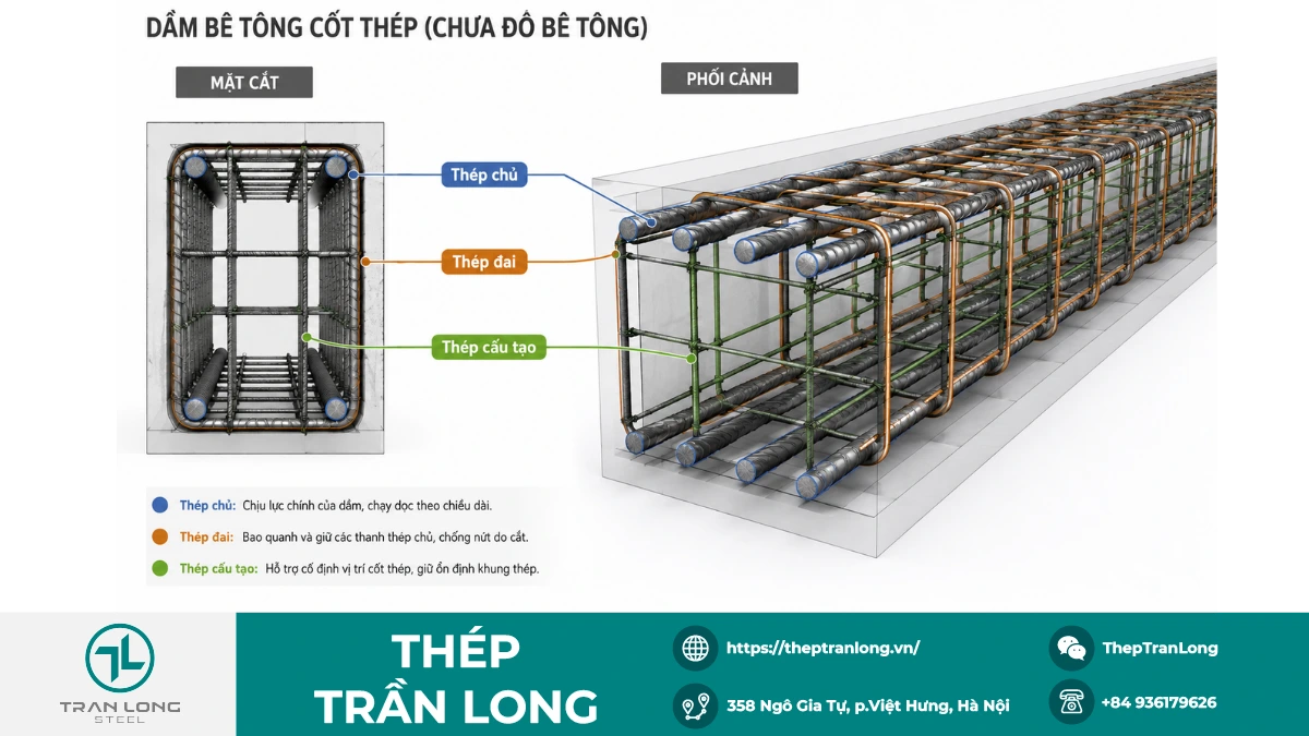 Sự khác nhau giữa thép chủ, thép đai và thép cấu tạo