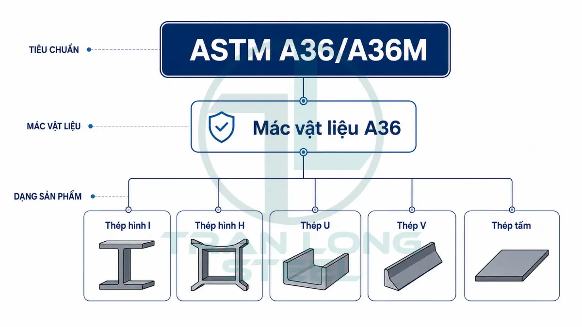 Thép ASTM A36 là gì? Cơ tính, A36 và SS400 3 Mối quan hệ giữa ASTM A36 và các dạng thép kết cấu