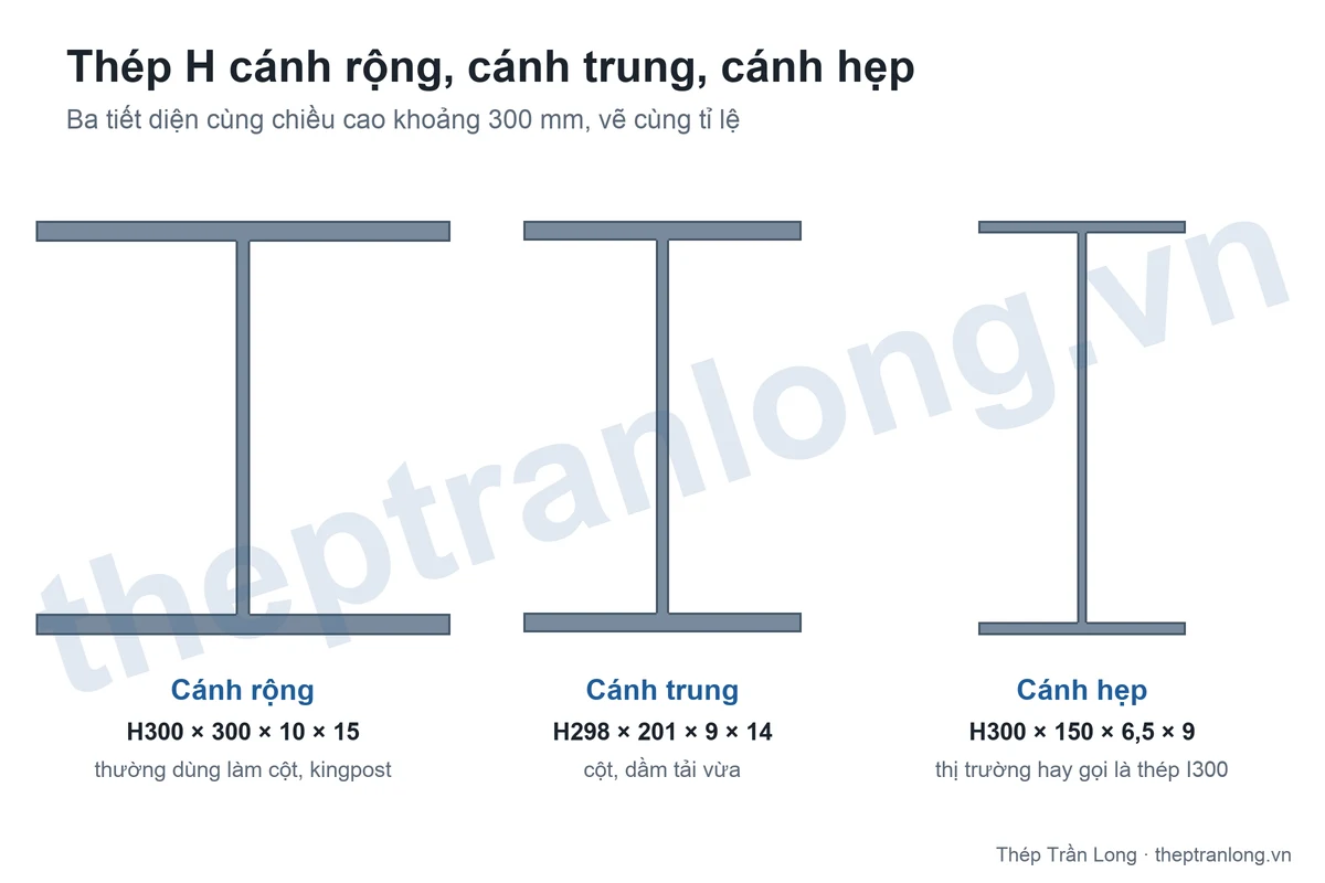 So sánh tiết diện thép H cánh rộng H300 × 300, cánh trung H298 × 201 và cánh hẹp H300 × 150 vẽ cùng tỉ lệ
